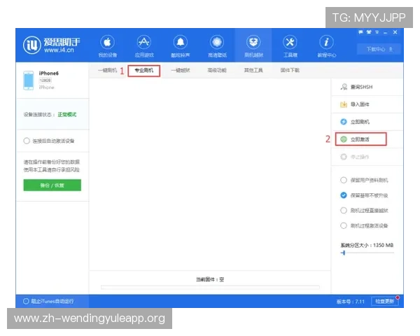 问鼎网页版直接登录账号的操作技巧与注意事项，确保每次登录都顺畅无阻